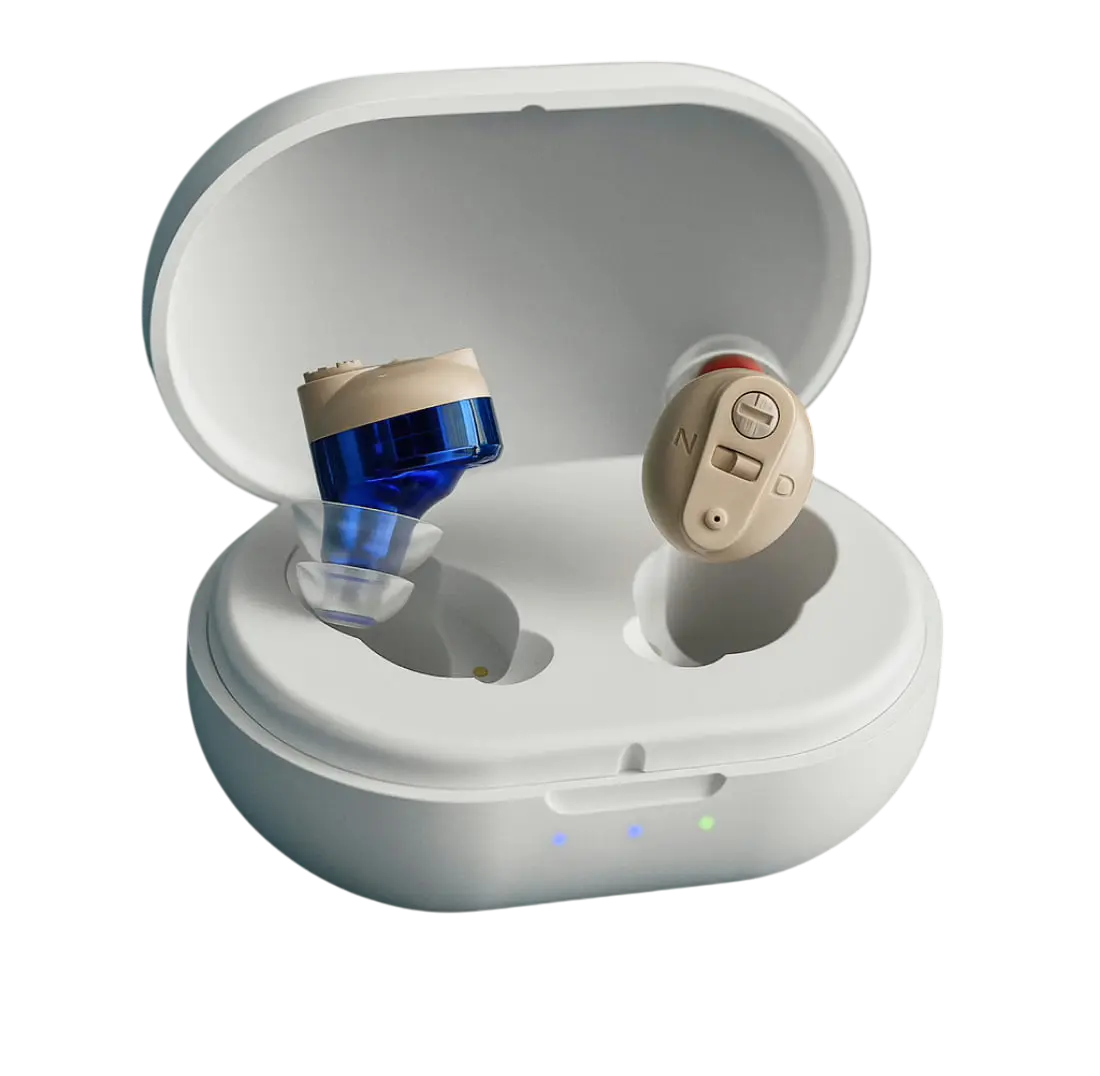 Lumiere Silk Pillow Case